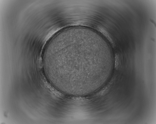 X0000103140876200809051612