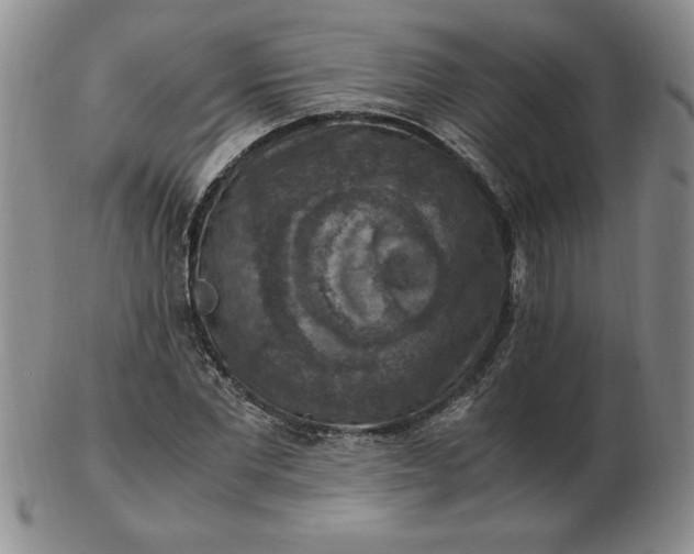 X0000103140877200809051612