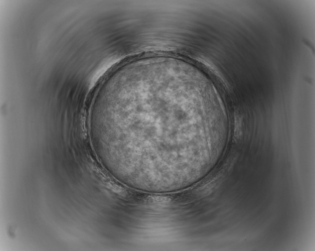 X0000103140878200809051612