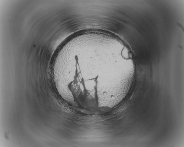 X0000103140879200809051612