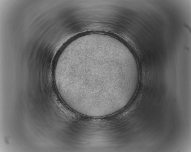 X0000103140880200809051612