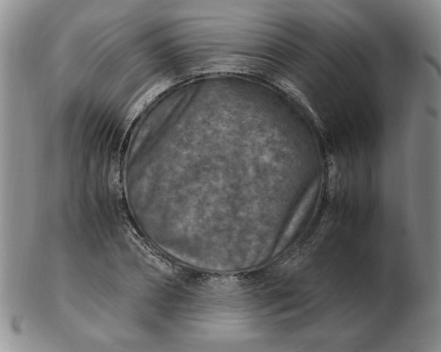 X0000103140882200809051612