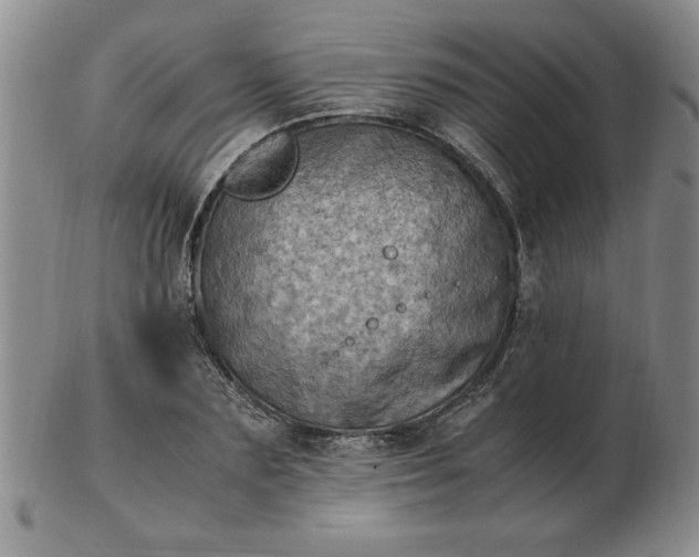 X0000103140883200809051612