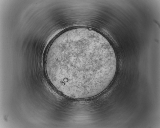 X0000103140884200809051612