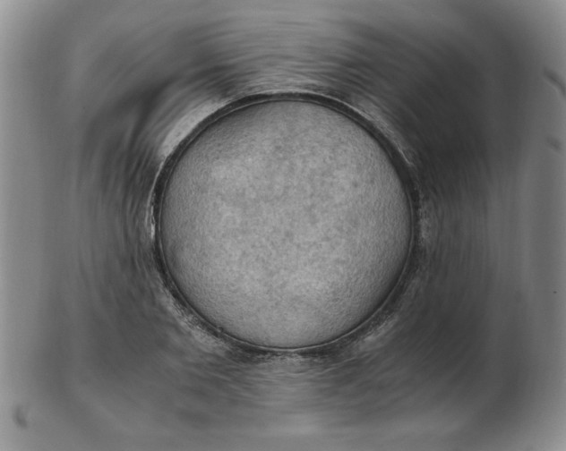 X0000103140885200809051612