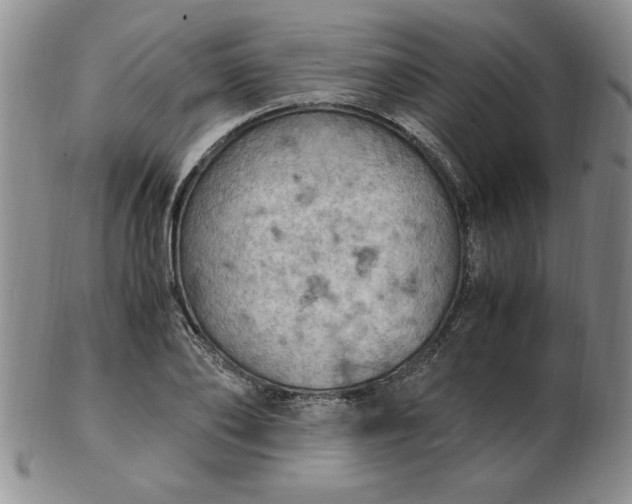 X0000103140886200809051612