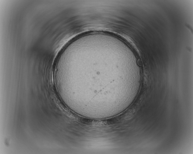 X0000103140887200809051612