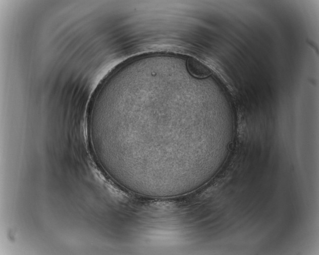 X0000103140888200809051612