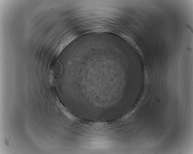 X0000103140889200809051612