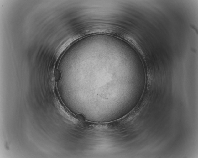 X0000103140890200809051612