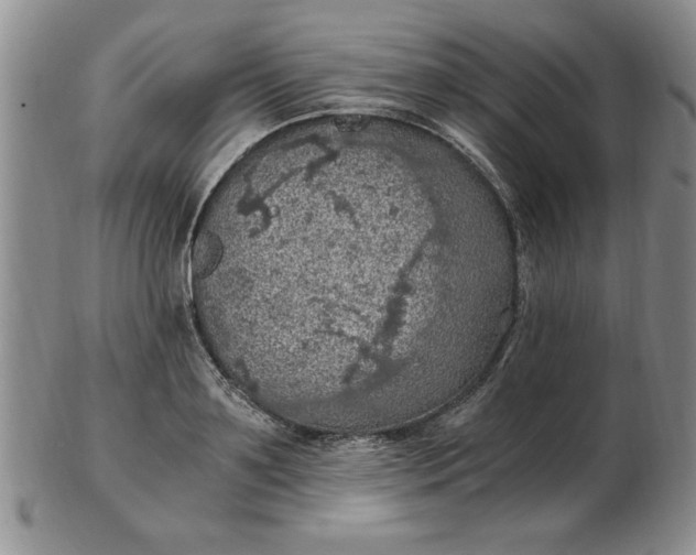 X0000103140891200809051612