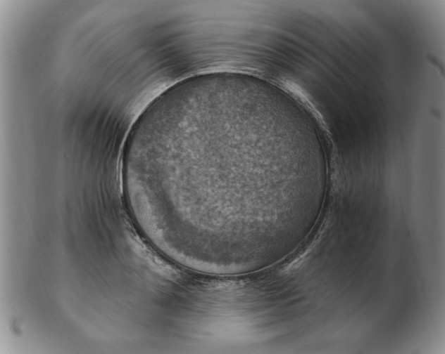 X0000103140892200809051612