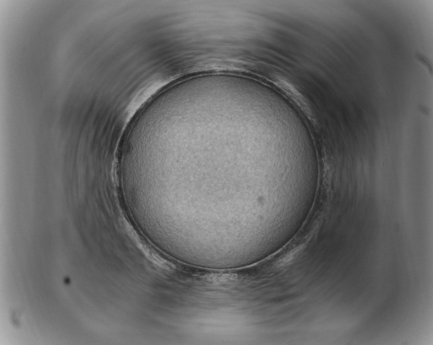 X0000103140893200809051612