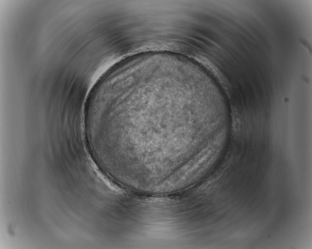 X0000103140894200809051612