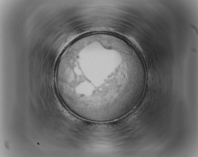 X0000103140895200809051612