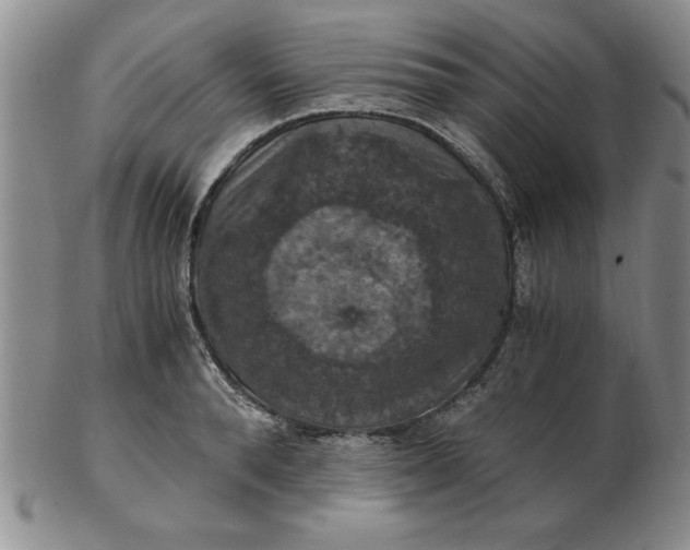 X0000103140896200809051612