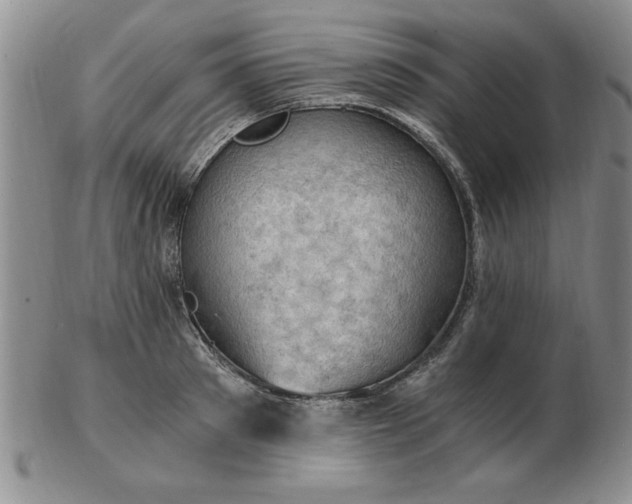 X0000103140897200809051612