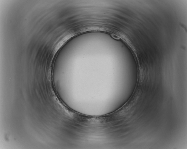 X0000103140898200809051612