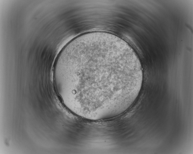 X0000103140900200809051612