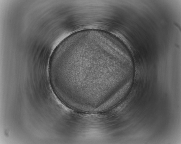 X0000103140902200809051612