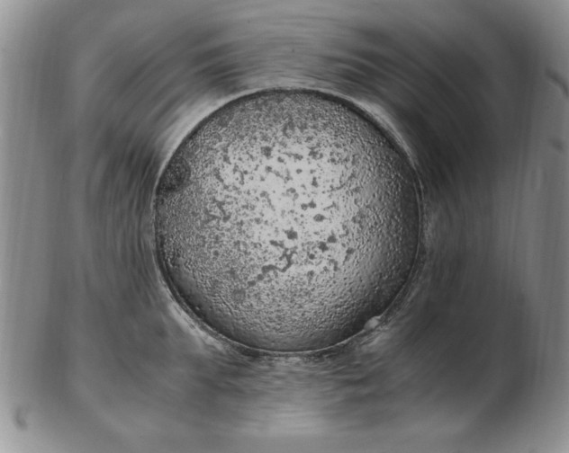 X0000103140903200809051612