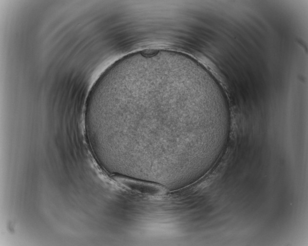 X0000103140904200809051612