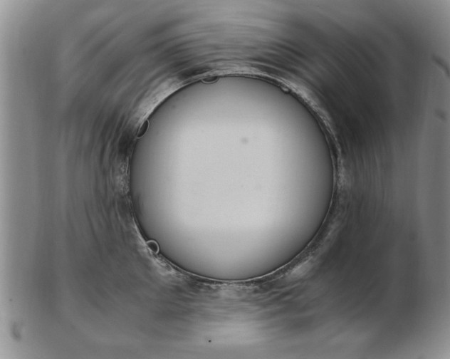 X0000103140905200809051612