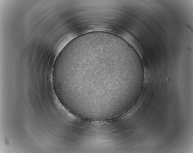 X0000103140906200809051611