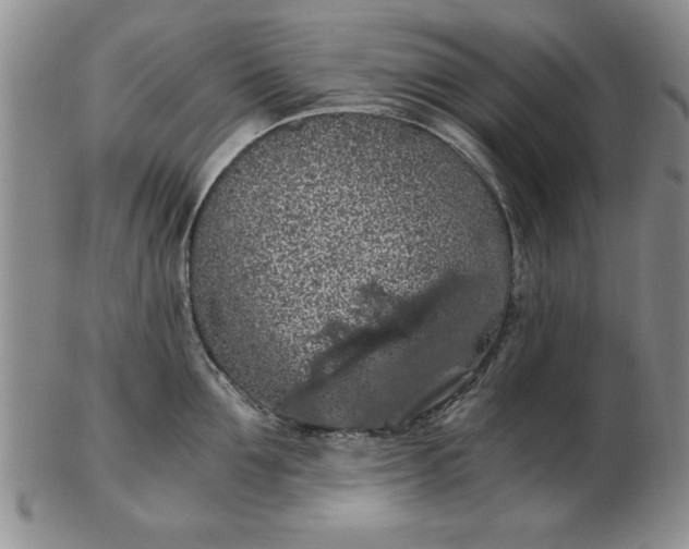 X0000103140907200809051611