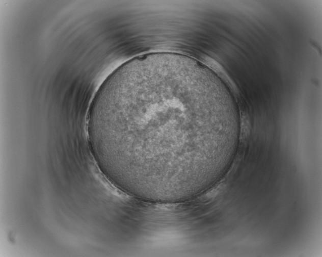 X0000103140908200809051611