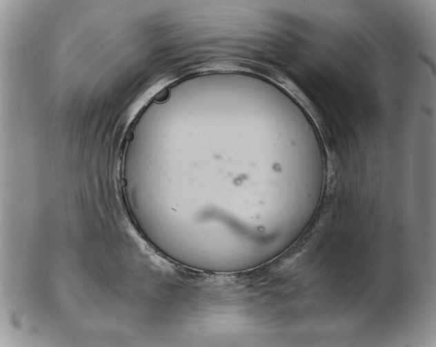 X0000103140909200809051611