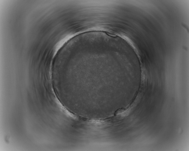 X0000103140910200809051611