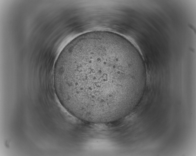 X0000103140911200809051611