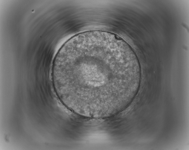 X0000103140912200809051611