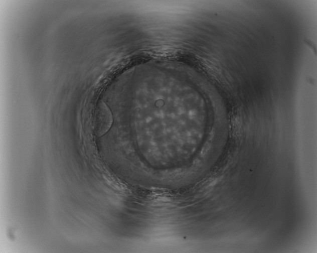 X0000103140913200809051611