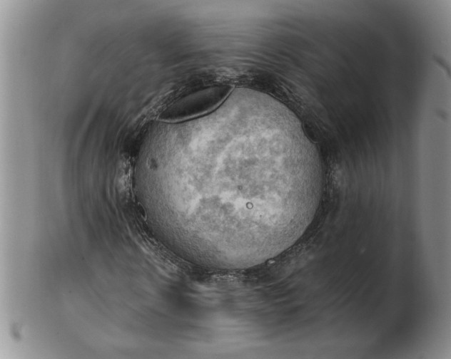 X0000103140914200809051611