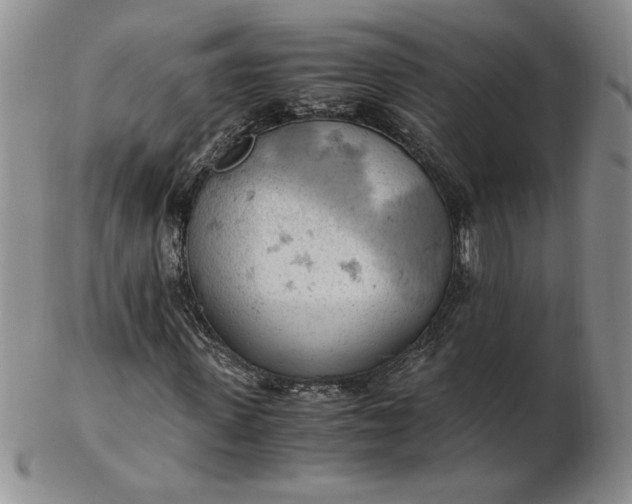 X0000103140915200809051611