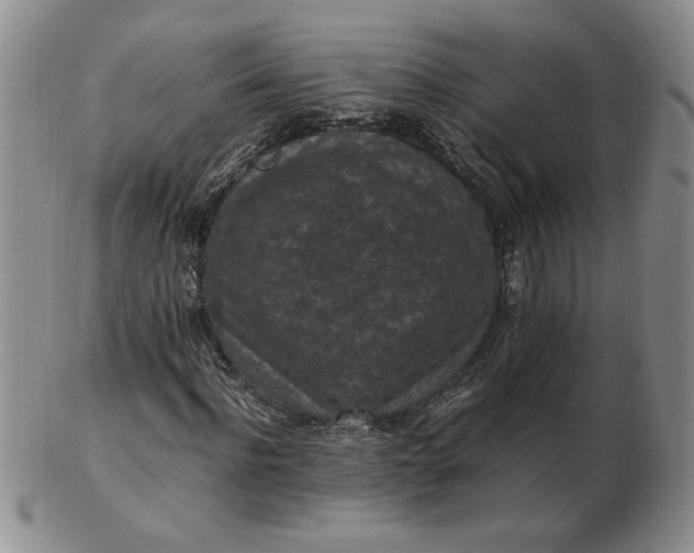 X0000103140916200809051611