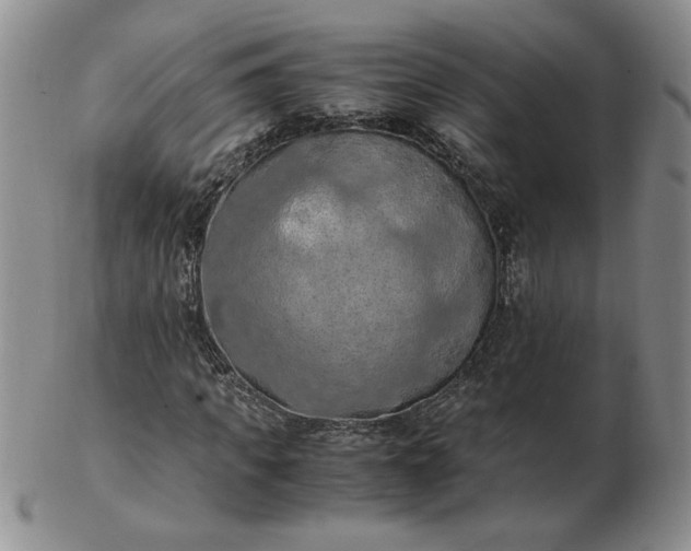 X0000103140917200809051611