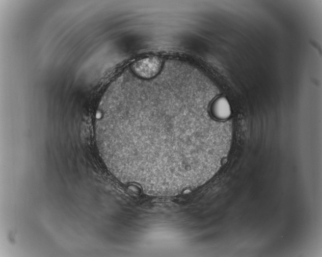 X0000103140918200809051611