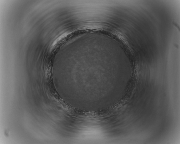 X0000103140920200809051611