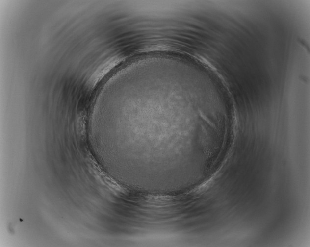 X0000103140921200809051611