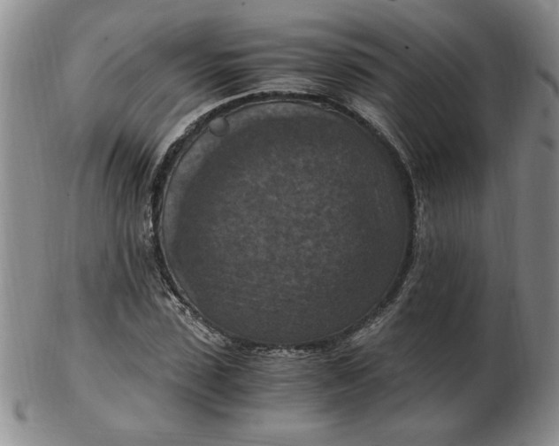 X0000103140923200809051611