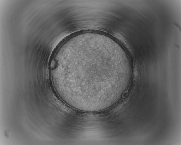 X0000103140924200809051611