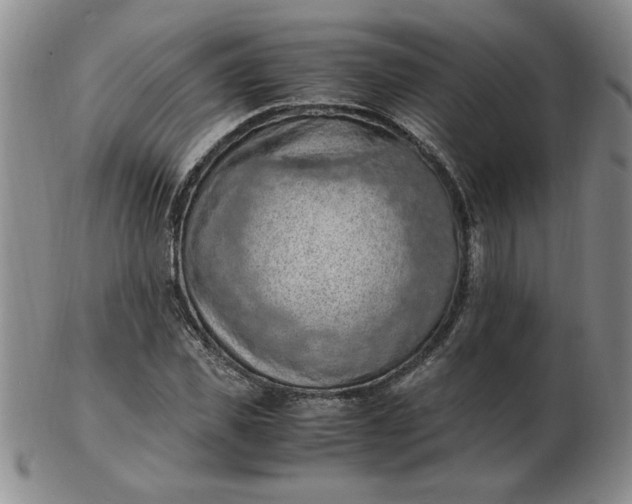 X0000103140925200809051611