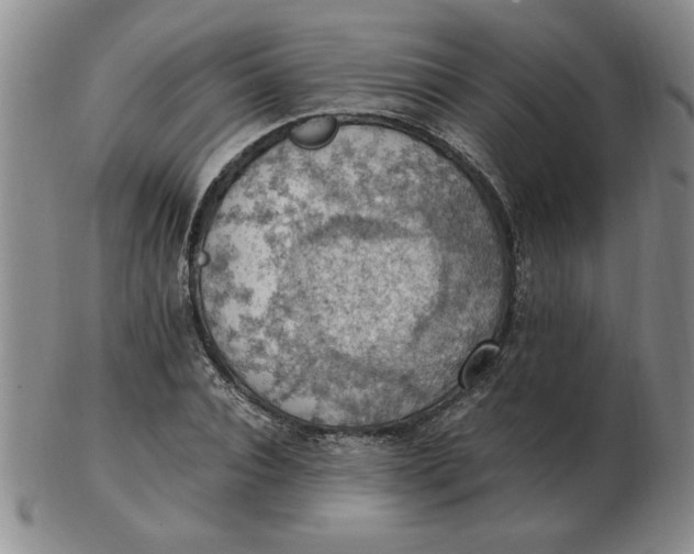 X0000103140928200809051611