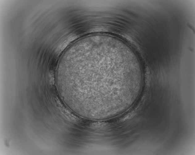 X0000103140929200809051611