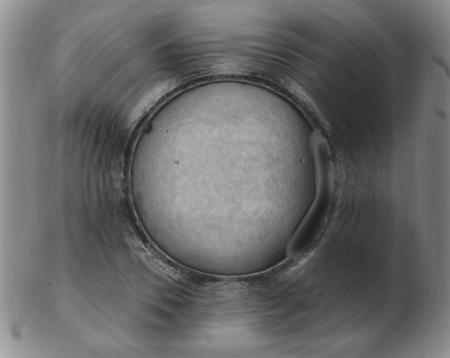 X0000103140930200809051611