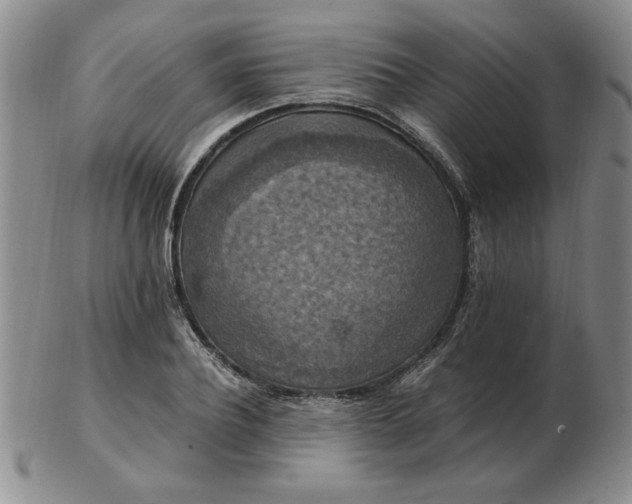 X0000103140932200809051611