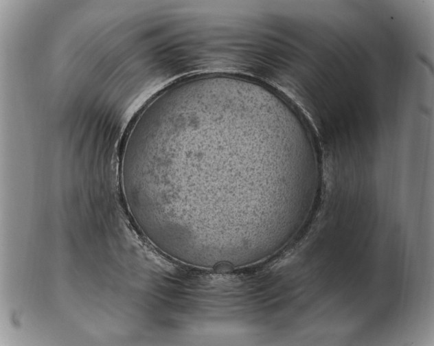 X0000103140933200809051611